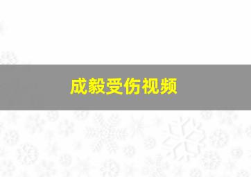 成毅受伤视频