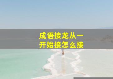 成语接龙从一开始接怎么接