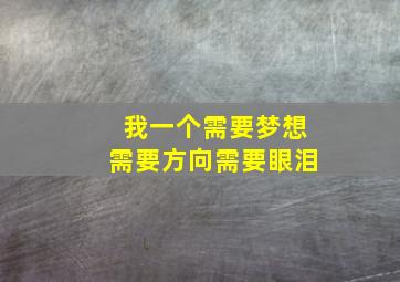 我一个需要梦想需要方向需要眼泪