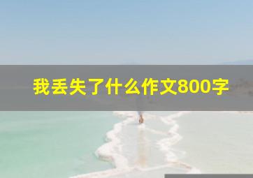 我丢失了什么作文800字