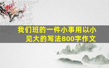 我们班的一件小事用以小见大的写法800字作文