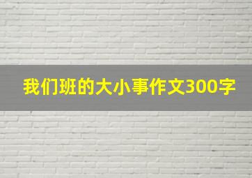 我们班的大小事作文300字