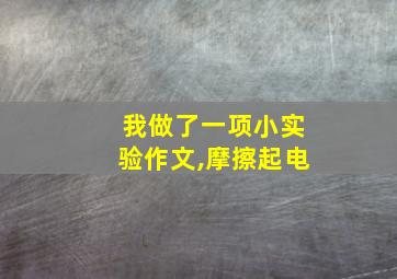 我做了一项小实验作文,摩擦起电