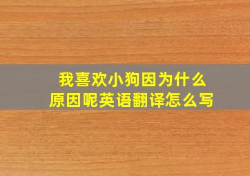 我喜欢小狗因为什么原因呢英语翻译怎么写