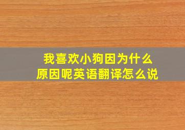 我喜欢小狗因为什么原因呢英语翻译怎么说