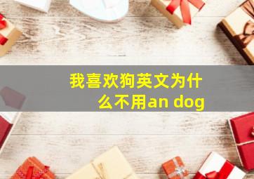 我喜欢狗英文为什么不用an dog