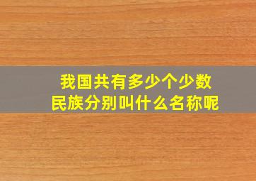 我国共有多少个少数民族分别叫什么名称呢