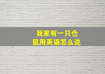 我家有一只仓鼠用英语怎么说