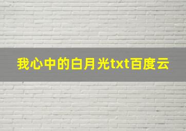 我心中的白月光txt百度云