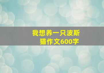 我想养一只波斯猫作文600字