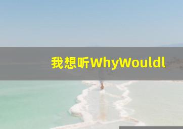 我想听WhyWouldl