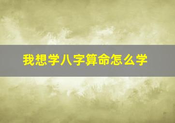 我想学八字算命怎么学