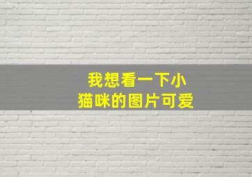 我想看一下小猫咪的图片可爱