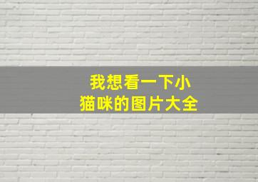 我想看一下小猫咪的图片大全