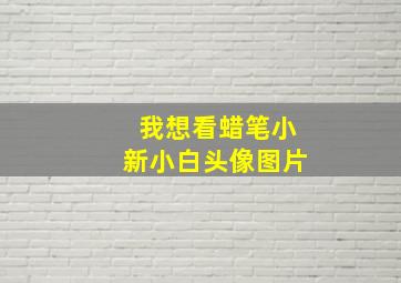 我想看蜡笔小新小白头像图片