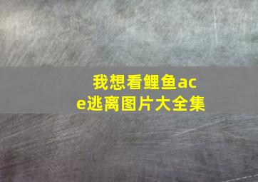 我想看鲤鱼ace逃离图片大全集