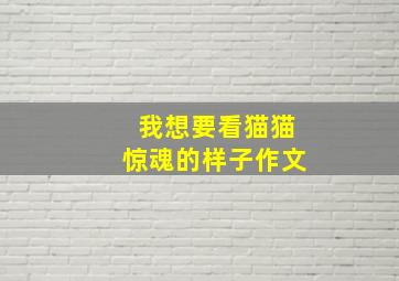 我想要看猫猫惊魂的样子作文