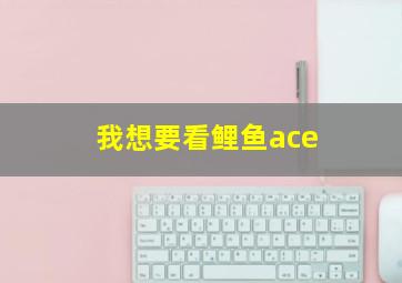 我想要看鲤鱼ace