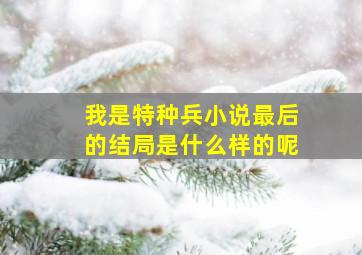 我是特种兵小说最后的结局是什么样的呢