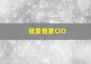 我爱我家CIO