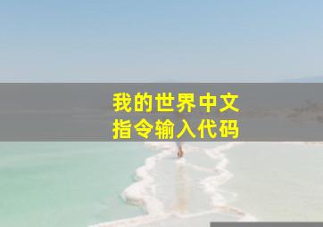 我的世界中文指令输入代码