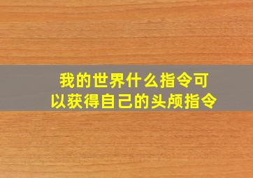 我的世界什么指令可以获得自己的头颅指令