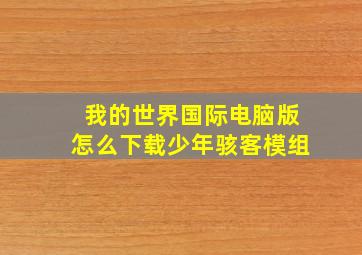 我的世界国际电脑版怎么下载少年骇客模组