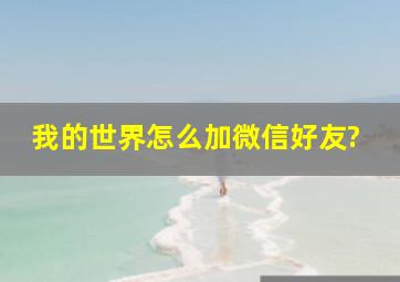 我的世界怎么加微信好友?