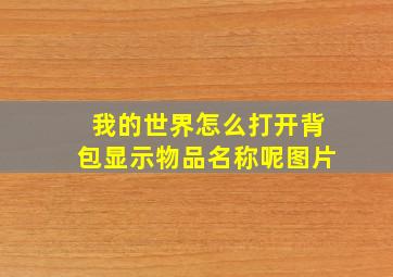 我的世界怎么打开背包显示物品名称呢图片