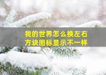 我的世界怎么换左右方块图标显示不一样