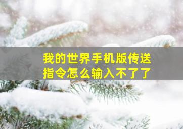 我的世界手机版传送指令怎么输入不了了