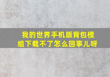 我的世界手机版背包模组下载不了怎么回事儿呀