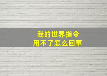 我的世界指令用不了怎么回事