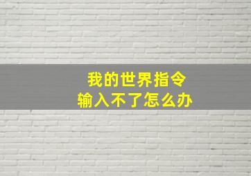 我的世界指令输入不了怎么办