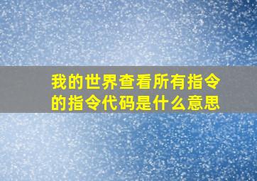 我的世界查看所有指令的指令代码是什么意思