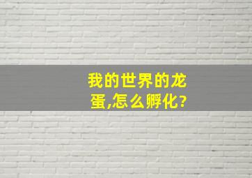 我的世界的龙蛋,怎么孵化?