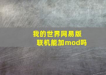 我的世界网易版联机能加mod吗