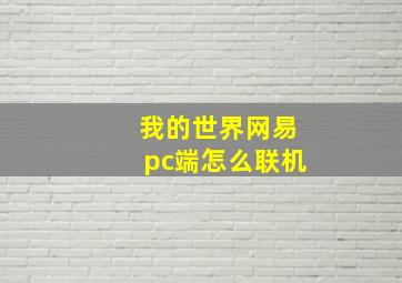 我的世界网易pc端怎么联机