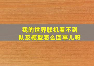 我的世界联机看不到队友模型怎么回事儿呀