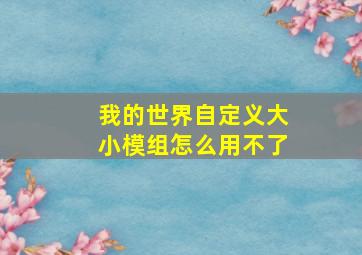 我的世界自定义大小模组怎么用不了