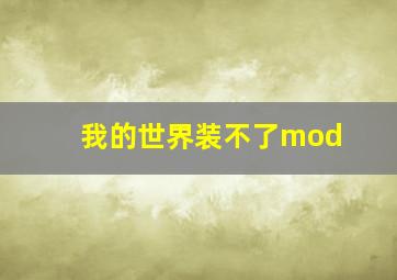 我的世界装不了mod