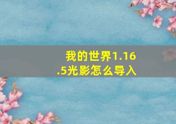 我的世界1.16.5光影怎么导入