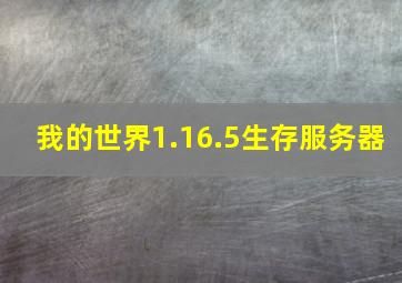 我的世界1.16.5生存服务器