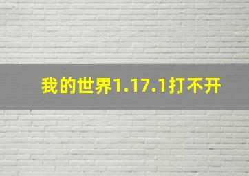 我的世界1.17.1打不开