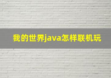 我的世界java怎样联机玩