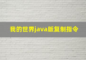 我的世界java版复制指令