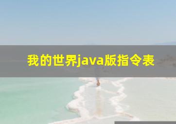 我的世界java版指令表