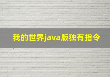 我的世界java版独有指令