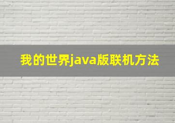 我的世界java版联机方法