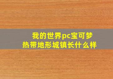 我的世界pc宝可梦热带地形城镇长什么样